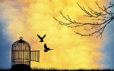 Women – Live and Work guilt free